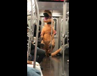 Dinosaur costume person stands subway train door
