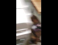 Service dog follows woman roams around office