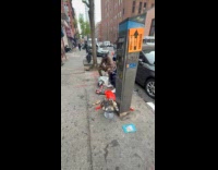 Group of guys grill fish at sidewalk