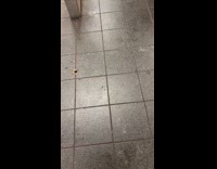Guy sitting down at subway station brushing his teeth