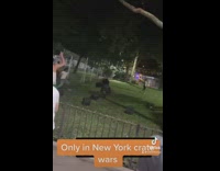 Group of people at park throwing crates at each other 