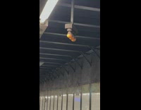 Smiley face on subway lights 
