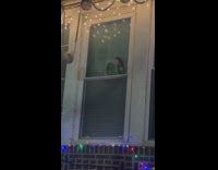 Mannequin stares out window with santa hat 