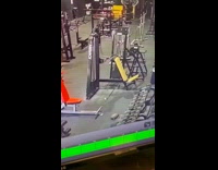 Collab BitchMP - Turtle crawls inside the gym 