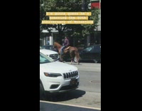 Man red purple shirt rides brown horse on street