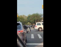 Collab winy - Man carries a bed foam on motorcycle 