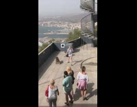 Wild monkey chased and stole a bag from the woman