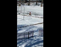 Shirtless guy hangs on parallel bars snow