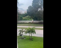 Man black shirt walk backwards on street