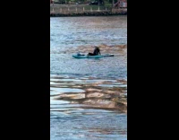 Man sit ride paddle board on river