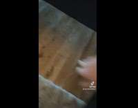 Lady Holds and Slides Kitten Under Bed
