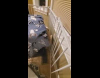 Brown puppy escapes white pen through opening 