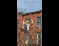 Christmas dog fills up fire escape 