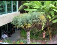 Red bikini girl lifts holds leg tree
