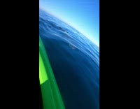 Shark swims past man in kayak 