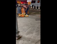 Random guy cuts pumpkin beside compost bin