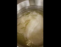 Heated coconut oil looks like melted butter