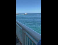 Big white rock covered in bird poop