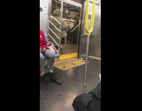 Large white dog dyed blue subway train 