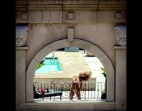 Woman bikini sexy dance whip hair on railings