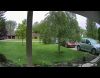 Hawk Flies onto Girls Head 