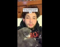 Collab BitchMP - Guy laying in bed surrounded by cats 