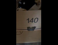 Woman shows cat sleeps inside delivery box