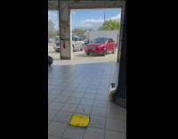 Dealership rescue cat under car on lift 