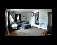 Dog wakes up scared from blowing curtain 