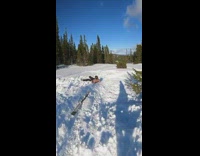 Topless Man Skis and Backflips on Mountain