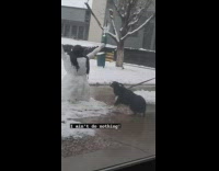 Couple builds a snowman outside their apartment 