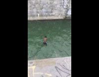 guy blue and white shorts belly flop in river