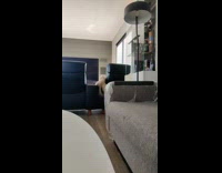 Collab PLC - Man Plays Fetch with White Cat in House