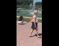 Pet dog sits in front of the water fountain