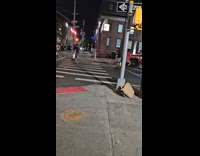 Large group of rollerbladers strolls at street