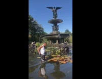 Man white shirt walks around fountain and collects coins in water