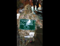 Guy dressed up as polluted park in nyc