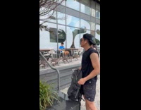 Gaggle of geese roams around the city