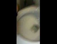 Elf on the Shelf gets flushed 