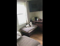 Small Dog Howls in Bedroom 