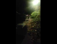 Filmer bangs dumpster to scare rats away