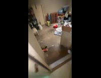 Goat stuck inside garage growls at submitter 
