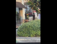 Black skirt girl poses yellow sunflowers vase 
