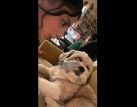 Collab ClipsIG - Dog places paw on top of ball