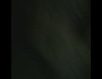 night time firework explodes on ground level 