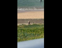 Collab IITW - Lady Waits People Pass for her Beach Selfie