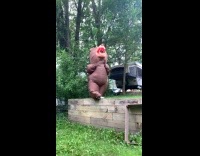 Person in a bear costume backflip fail
