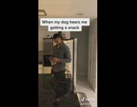 Dog appears when owner gets snack 