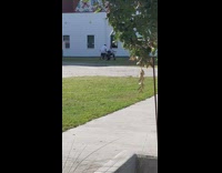 Man performs and plays drums at the park