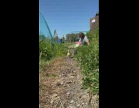 Lady encourages baby animals to run kitten